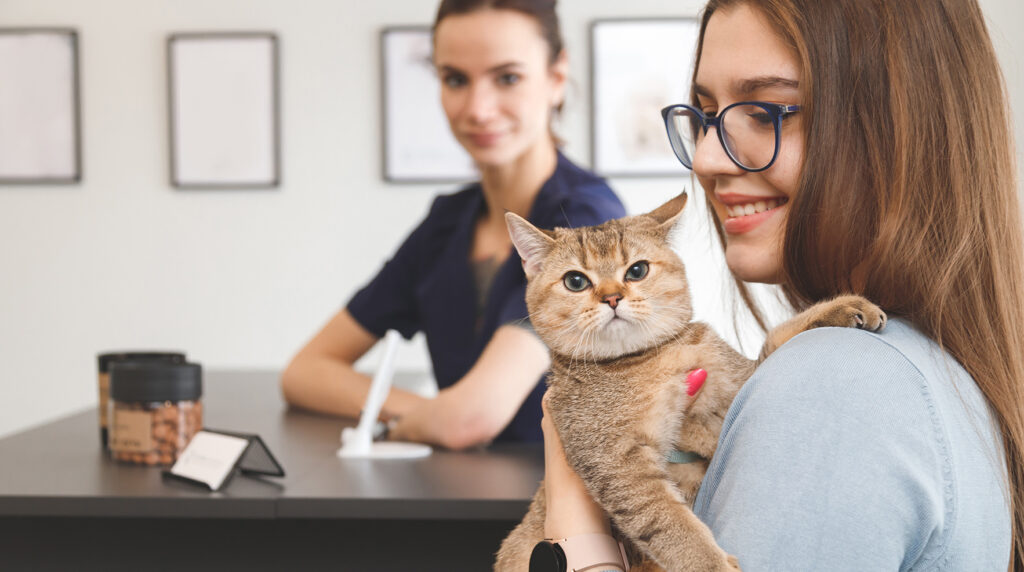 assurance animaux
